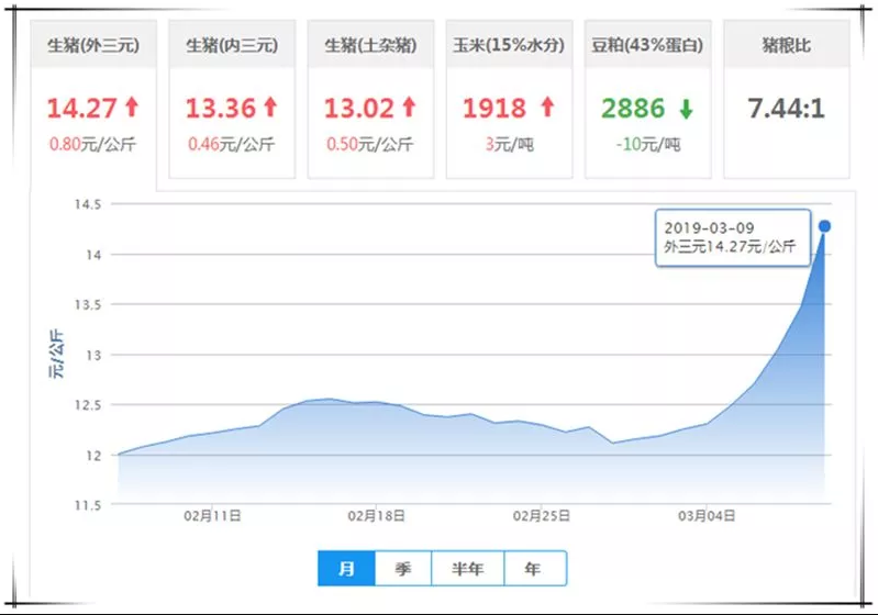 猪肉收储春风吹来 全国生猪价格今日持续全线飘