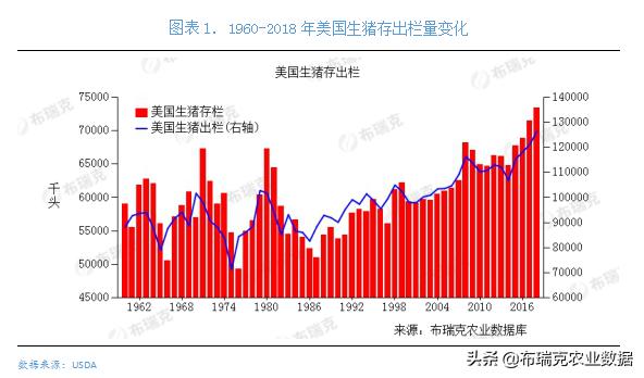 中国猪瘟 美国猪肉期货“飞起来了”