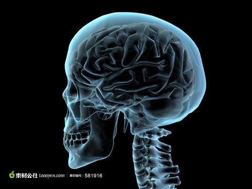 医疗行业的福音 “透视”技术为精确打印人体器