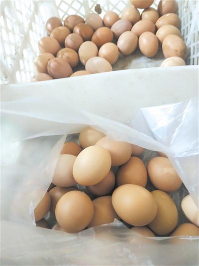 鸡蛋价格步入“五元时代” 产量下降刺激蛋价持