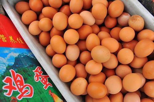 未现重大疫病 今年鸡蛋价格为何剧烈波动？
