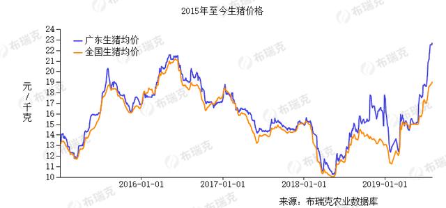 非洲猪瘟一周年：“南猪北养西进”受挑战 冷鲜