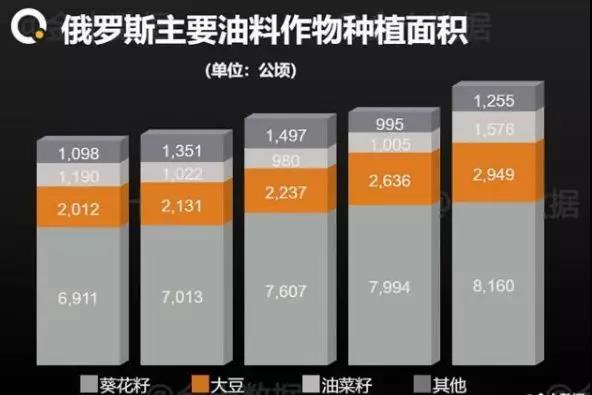 承诺370万吨大豆后 俄罗斯突然变卦称无法满足需
