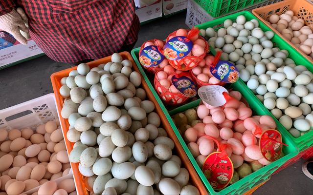 气温逐渐转凉 预计鸡蛋价格将开始季节性回落