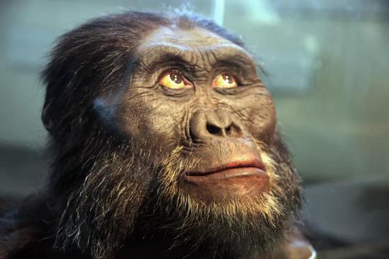 人类的祖先到底是谁？ Nature最新研究推翻了人们