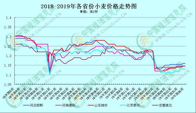 9月小麦市场购销有所回暖 10月份小麦价格将会如