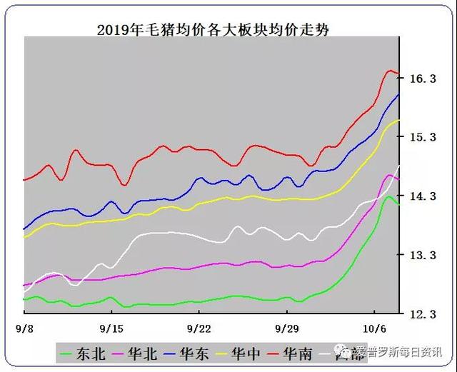 暴涨的毛猪价格之后的深思 明年猪价该是什么样