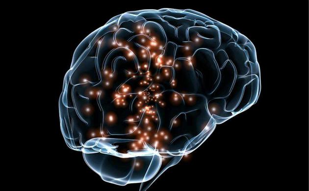 美国哈佛医学院研究人员研究表明 大脑过度活动