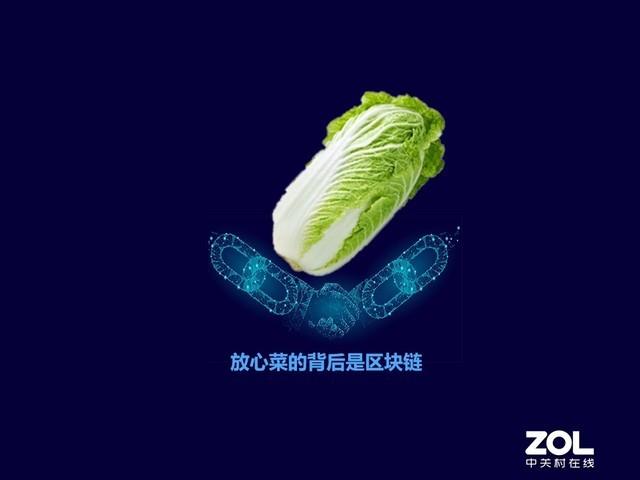 区块链技术切实地融入我们的生活 做链不做币吃