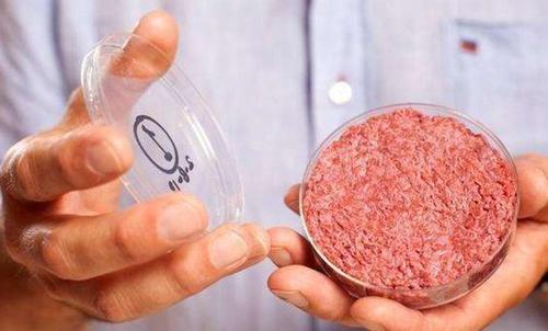 培养肉技术获重大突破 未来哪种“人造肉”最终