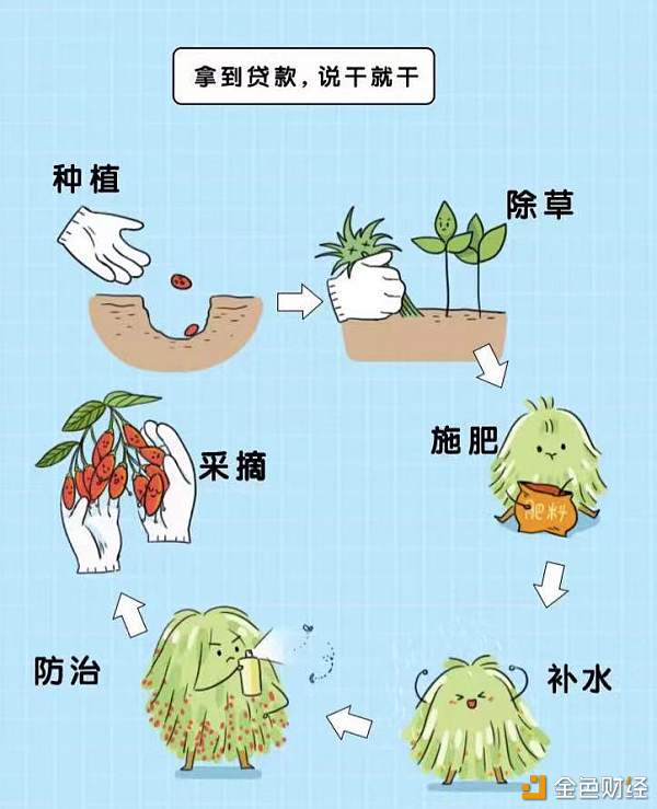 一粒枸杞的区块链之旅 农产品溯源服务为你的高