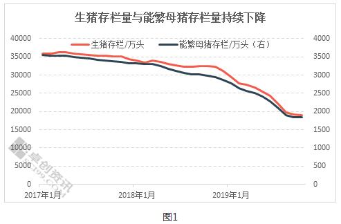 猪瘟阴云下的生猪产业突围 重资产、高技术投入