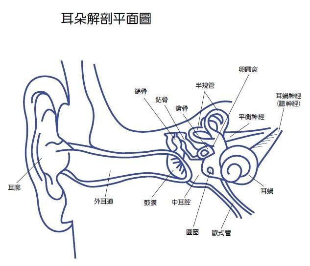 耳塞和音响有何不同？ 人耳的听觉奥秘了解一下