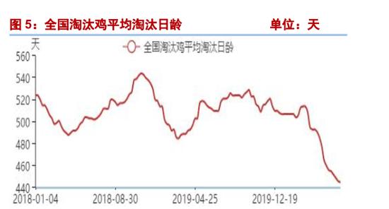 鸡蛋近月齐涨停！空头憋不住 多头秋后算账了？