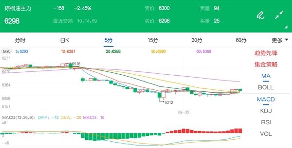 涨后有所回落 棕榈油延续弱势盘整价格跌逾2%