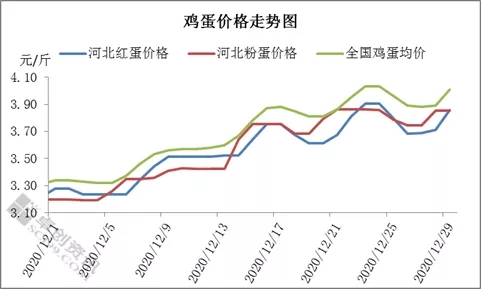 供需均利好 12月份河北省蛋鸡市场概述