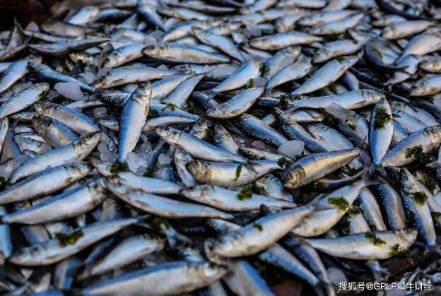 疫情影响鱼货滞销 中水渔业晒2020年度业绩预告：
