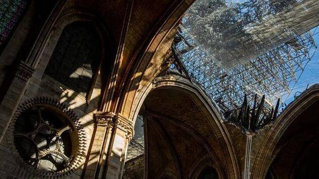 巴黎圣母院修复工作开始 将需要上千棵百年橡树