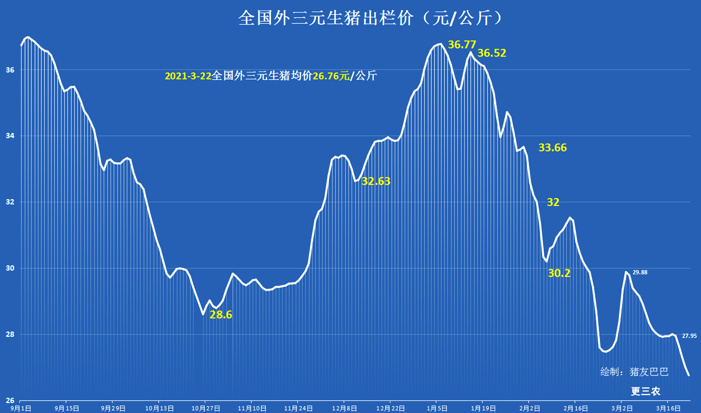 22日猪价跌成“熊”！行情大跌超10元 养殖户备受