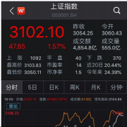 沪指涨破3100点 科技股纷纷走强消费股较为低迷