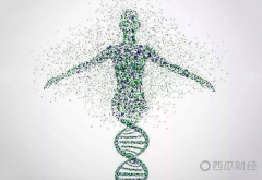 区块链技术如何改变我们对DNA的看