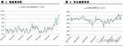 猪肉龙头涨了4倍多 鸡肉等产品或迎来机会