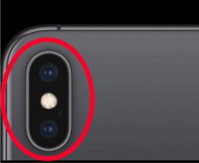 iPhone XR2曝光，无黑边＋后置双摄＋