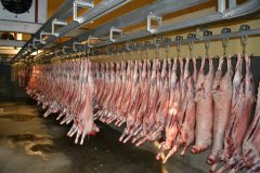 低价进口冻肉将涌入中国 国内的猪价高涨时代马