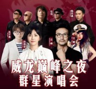 一边请汪峰开演唱会，一边董事长股权被冻结 威