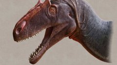 古生物学家在犹他州发现了新的食肉恐龙品种化
