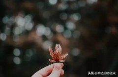 众志成城 才能打赢疫情防控阻击战