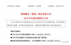 卖楼自救的海南椰岛又赔了！2019预亏超过2.4亿