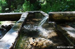坚持不上市的农夫山泉冲击上市 “大自然搬运工