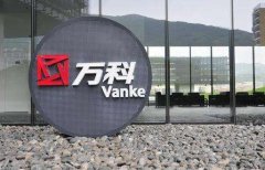 连续两年港股配售筹资156亿港元 “不缺钱”的万