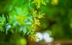 “风雨过后”我们重游祖国