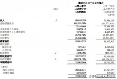 中海地产发布中报业绩：上半年销售额不及年度