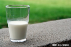 上半年业绩降超四成 蒙牛乳业2020年的双千亿目标