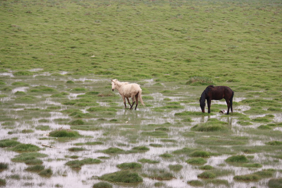 6月3日，兰新铁路第二双线新疆段开始联调联试，标志着这一铁路运营进入倒计时。