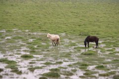 足不出户、中国高铁带你领略祖国大好河山