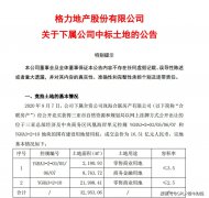 现金流紧张的格力地产豪赌“免税概念” 斥巨资