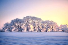 俗话说瑞雪兆丰年下雪对农事的好处包括 蚂蚁庄