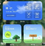 支付宝现已支持苹果 iOS 14 小组件：