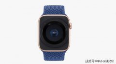 未来 Apple Watch 或增加指纹识别和屏