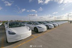 美股大型科技股多数收涨，特斯拉涨0.55%