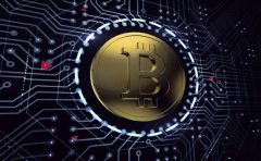 BlockArk 完成对 ACoconut 50 万美金的战略投资
