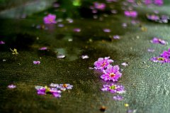 长株潭城际让百年株洲重焕青春