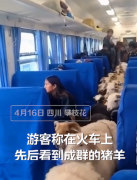 公益“慢火车”，见证山区人民的幸福路
