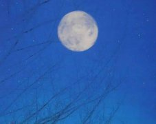 兼顾“速度与温度”，中国高铁助力“人与自然