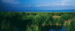 蚂蚁新村中国最大的内陆淡水湖博斯腾湖位于 新