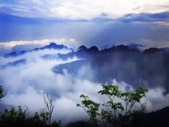蚂蚁新村11月12日答案最新 靖州苗族渠阳镇有名的